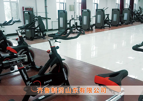 ​BB贝博艾弗森为齐鲁制药呼和浩特分公司打造健身房